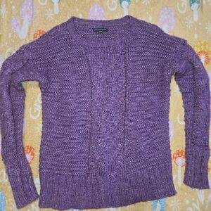 American Eagle Outfitters Purple Women's Sweater
